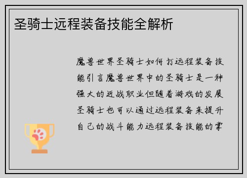 圣骑士远程装备技能全解析